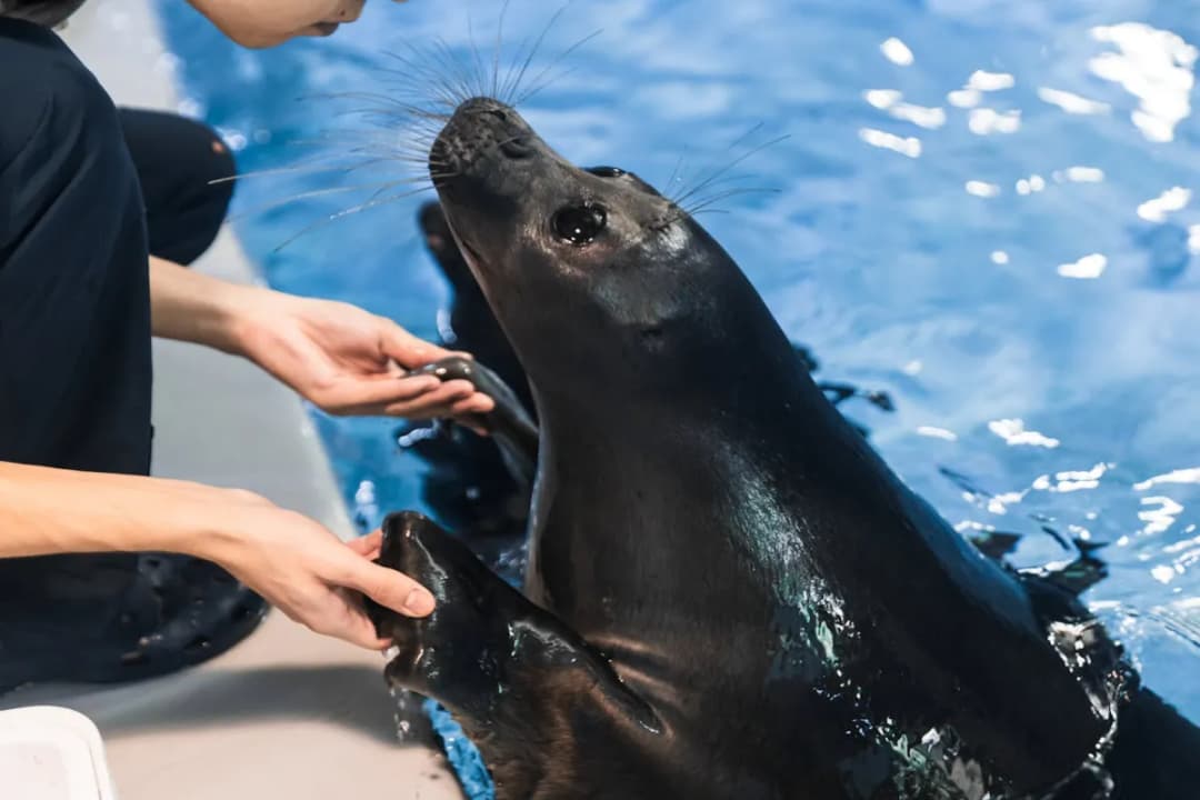 Meet & Greet Sessions