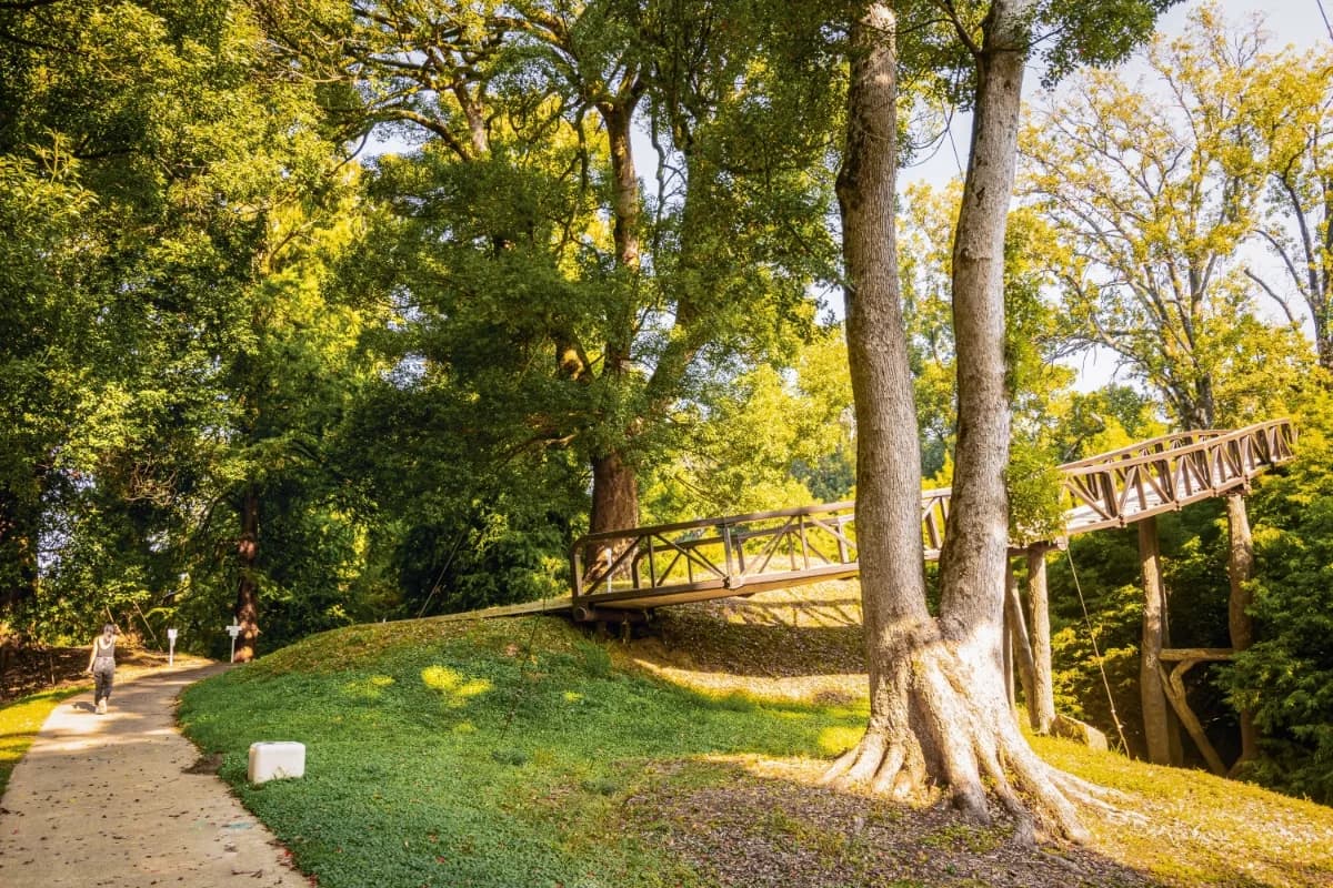 Batumi Botanical Garden