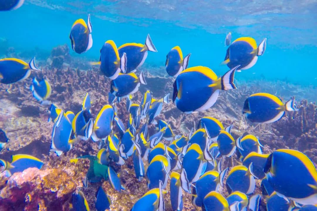 Eco-Friendly Practices