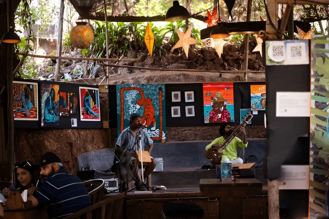 Live Music Performances