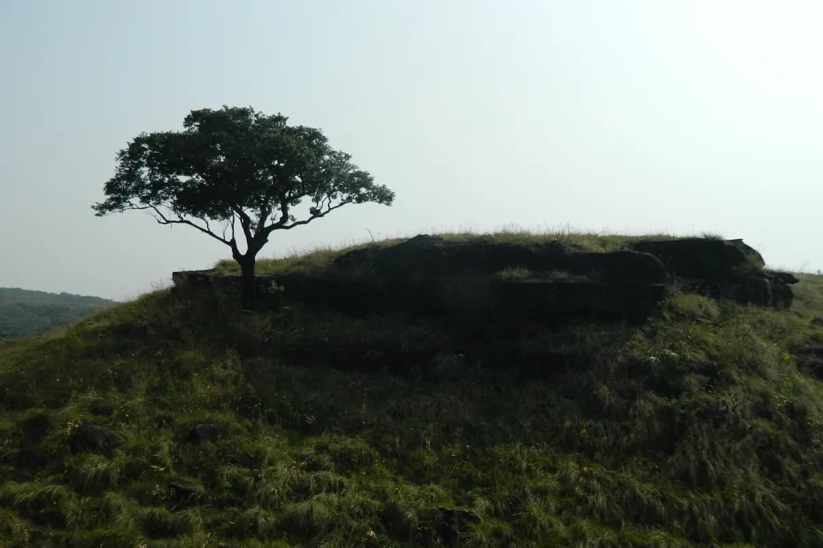Balpakram National Park