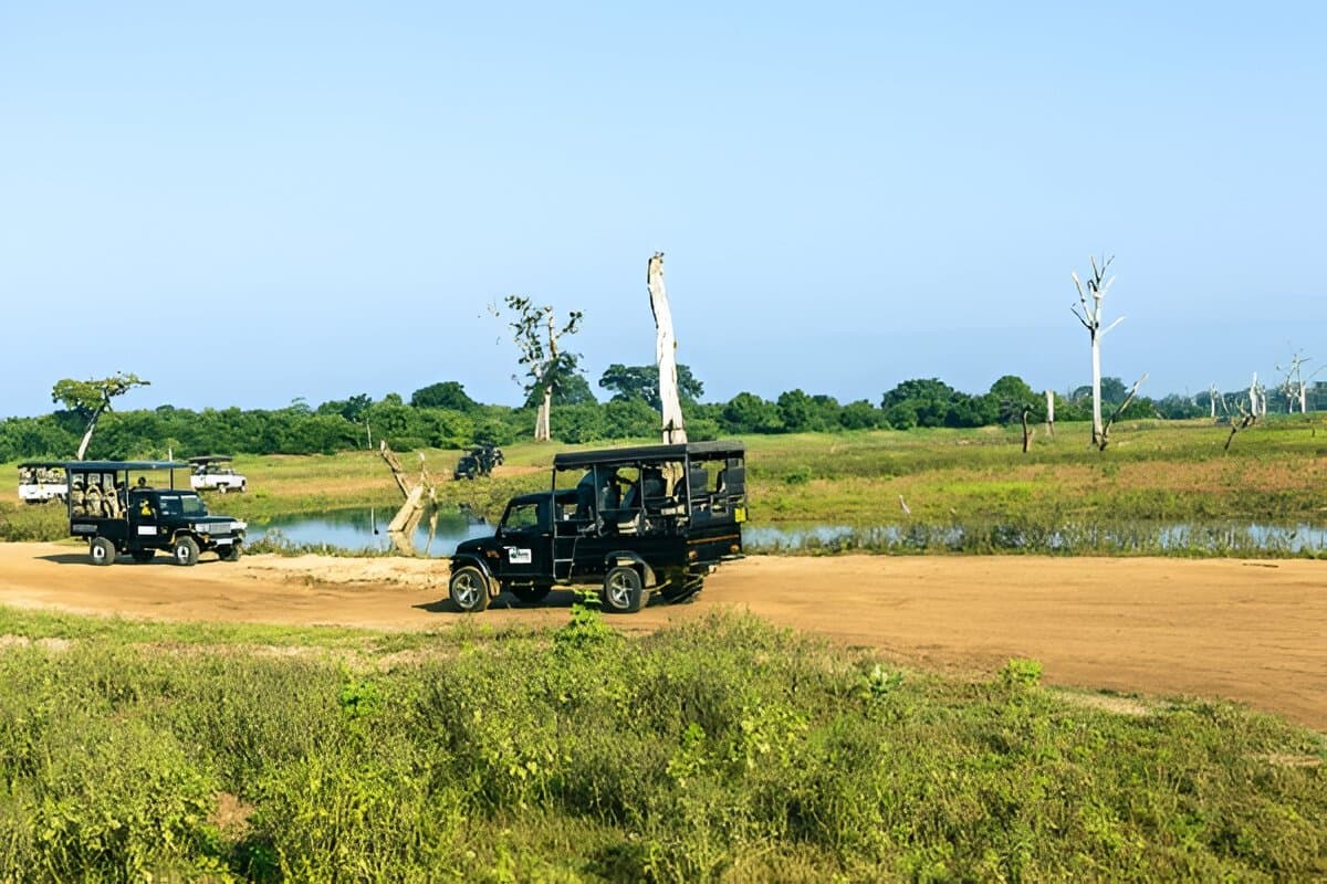 Udawalawe National Park