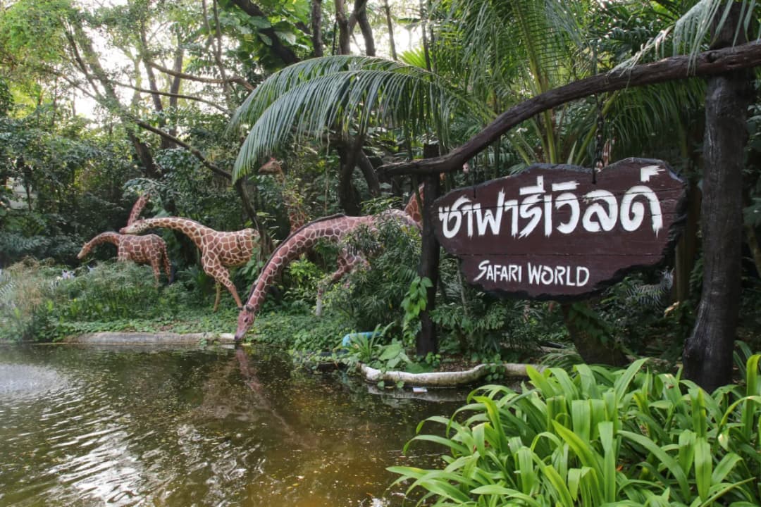 River Safari Ride