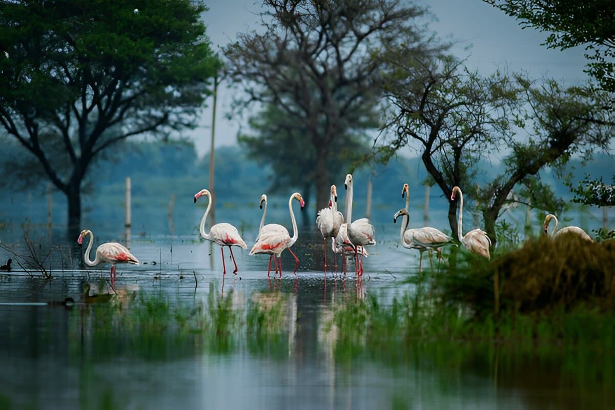 Adventurous Rajasthan 