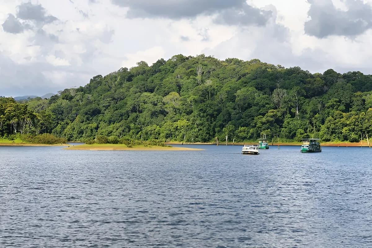 Periyar Lake