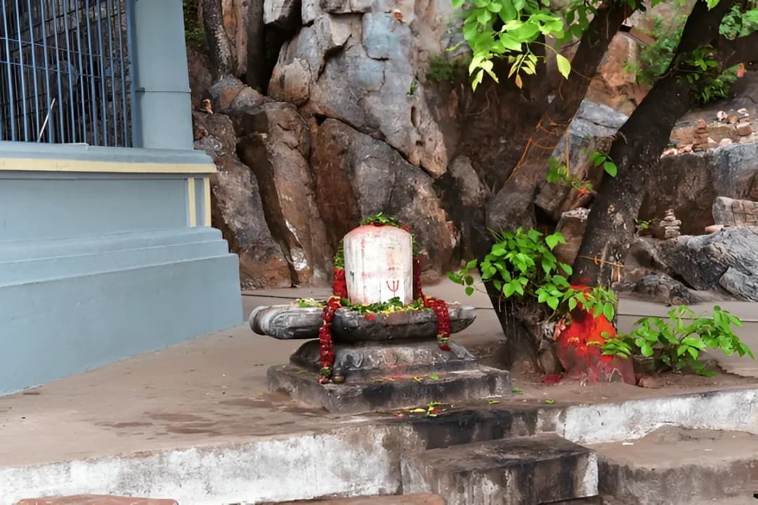 Rahu-Ketu Pooja