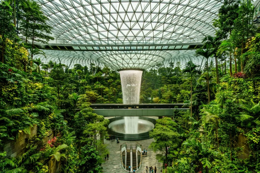 Forest Valley Adventure