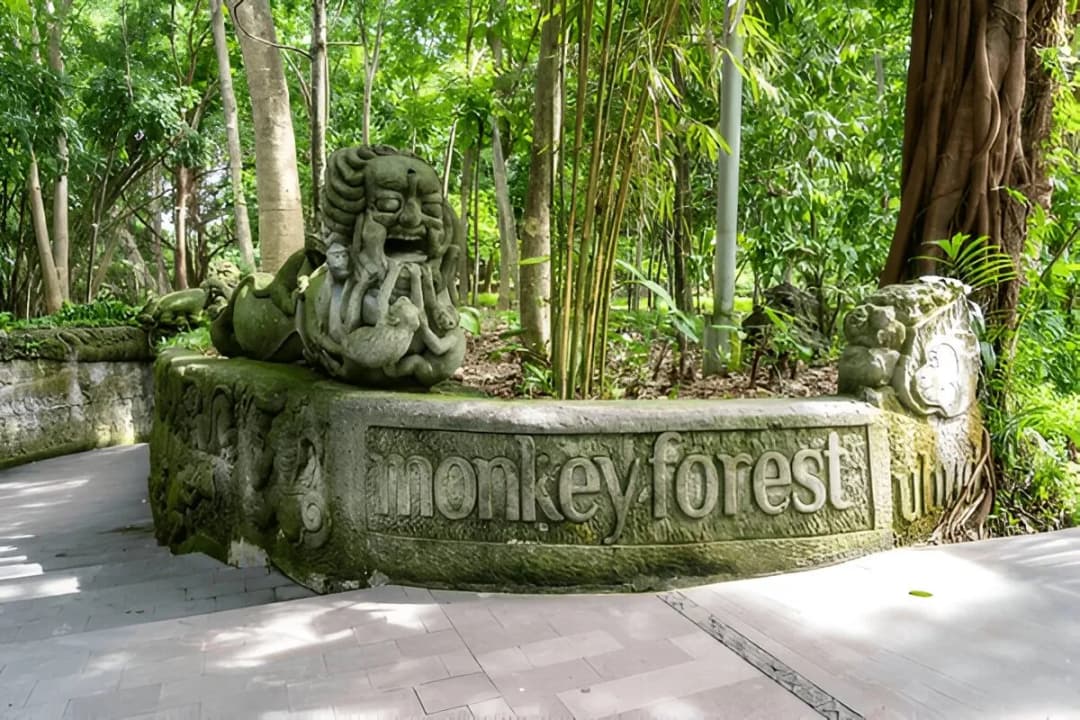 Monkey Forest Area