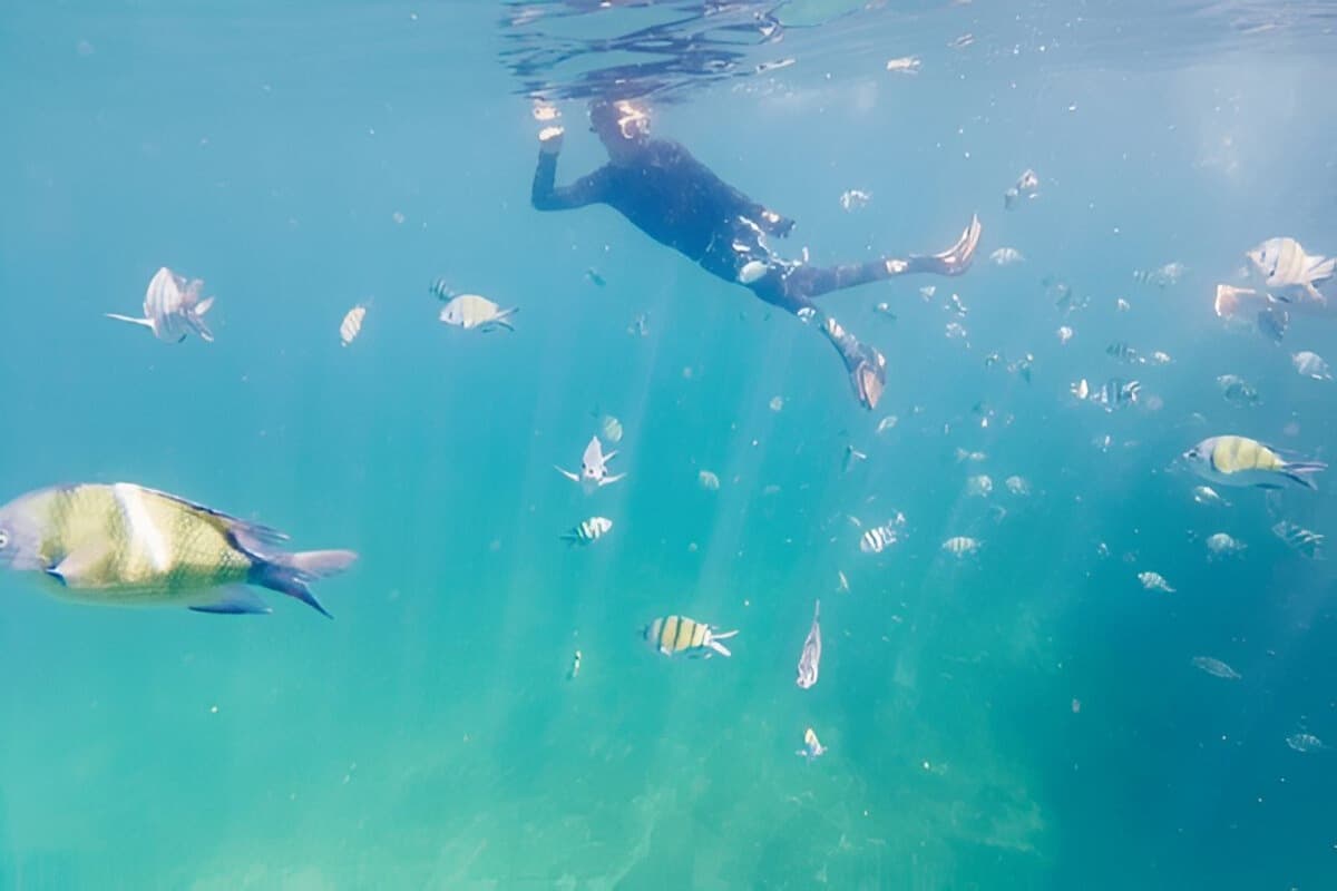 Snorkeling in Vietnam