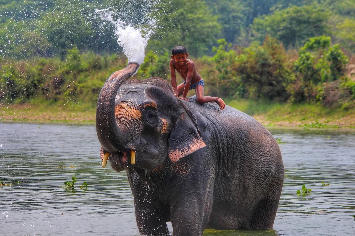 Chitwan National Park