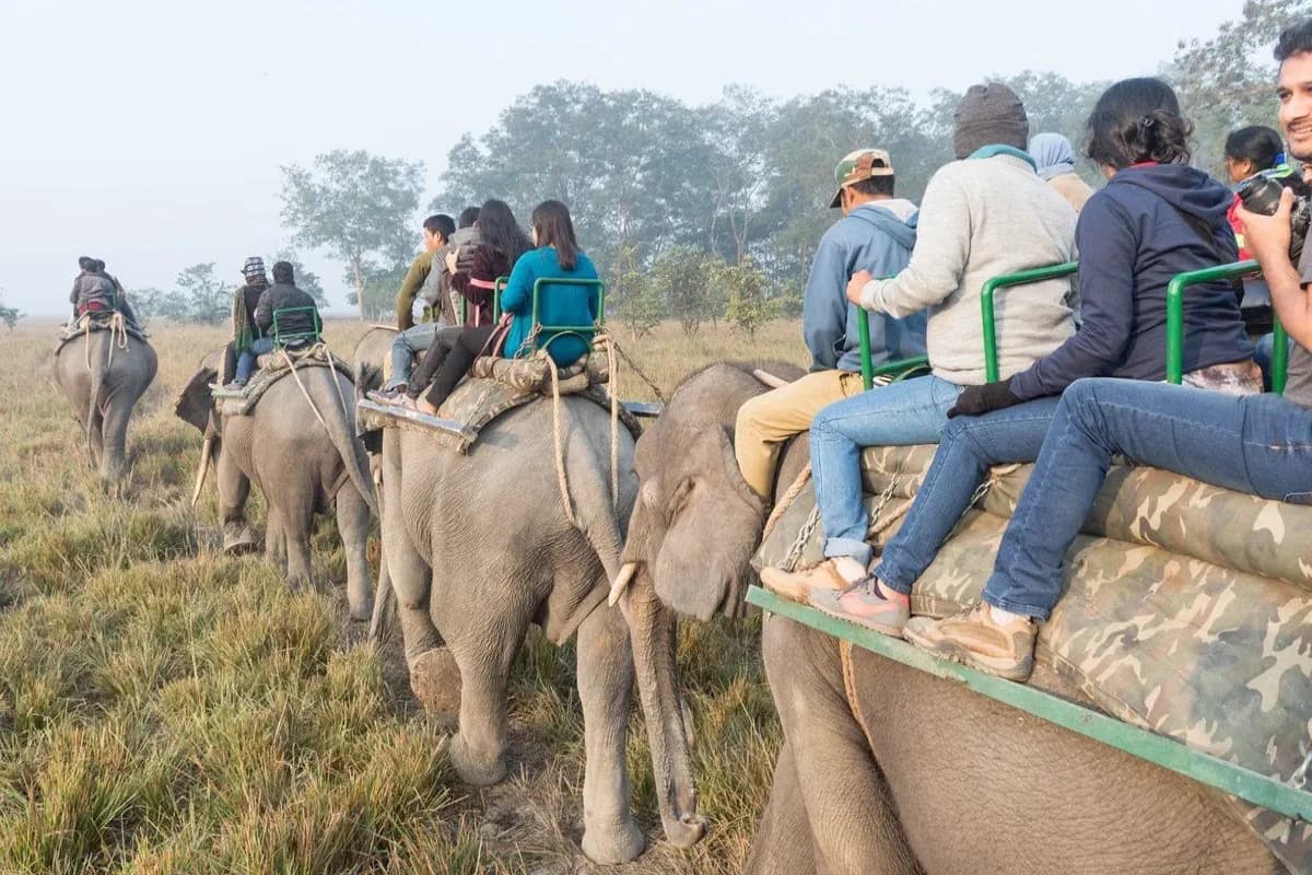 Wayanad Wildlife Sanctuary