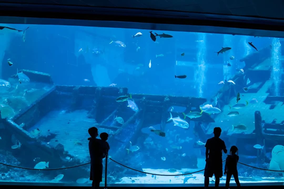 Marine Life Encounters