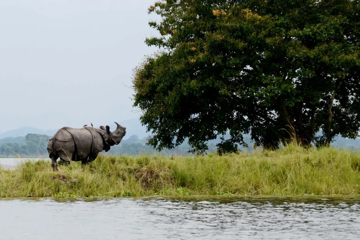 Pin Valley National Park