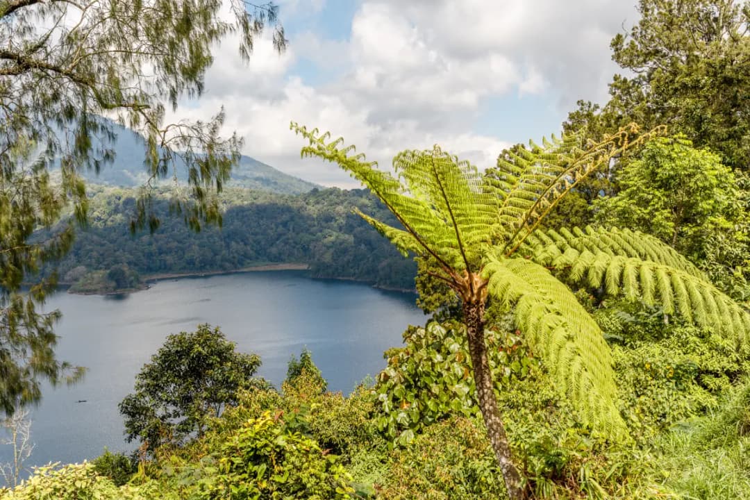 Buyan Lake Viewpoint