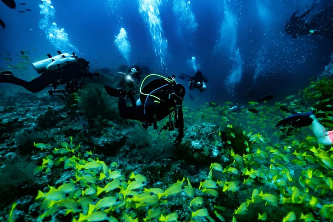 Night Diving Experience