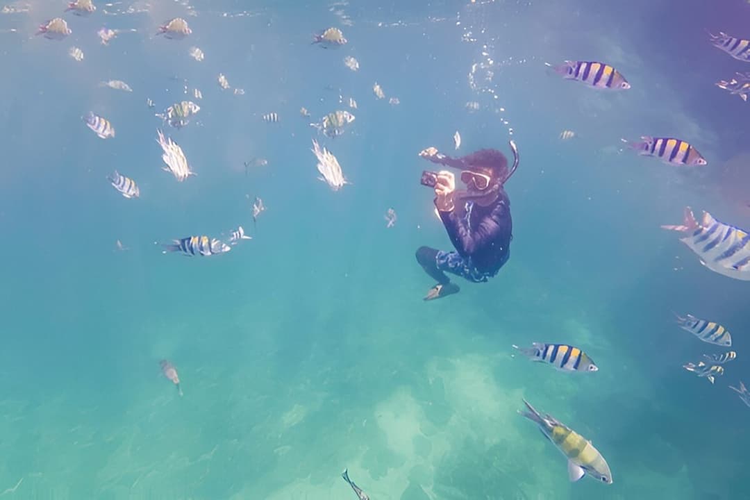 Colorful Coral and Fish