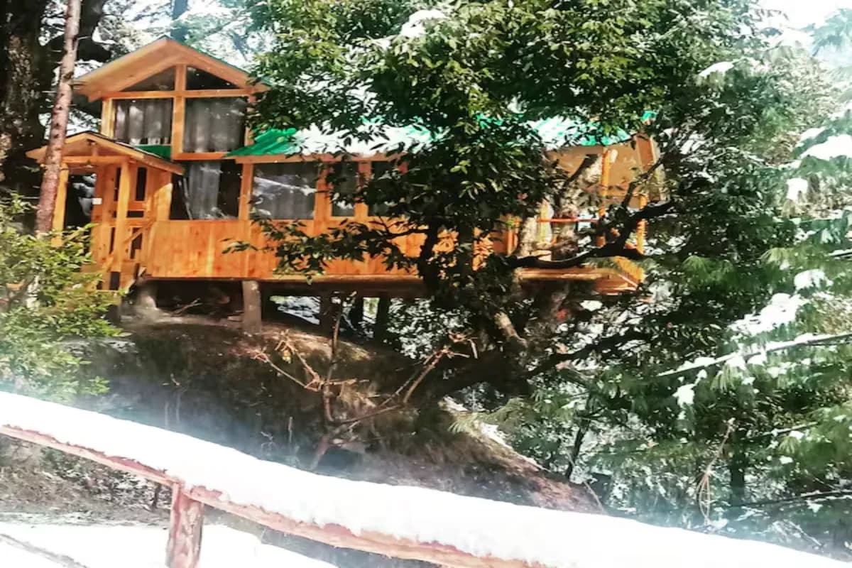 Oak Suite - The Treehouse