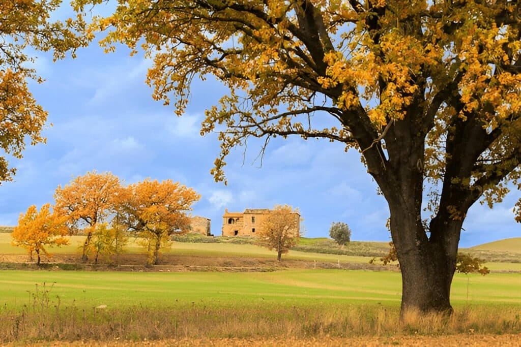 Autumn in Tuscany, Italy