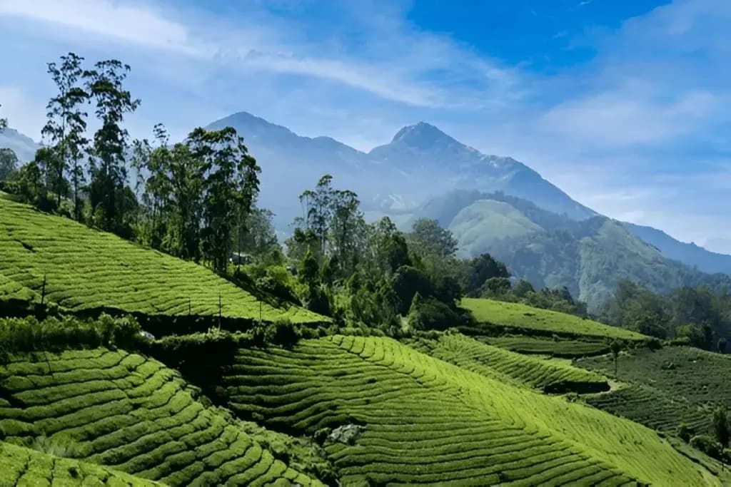 Best Places to Visit in Kerala in September
