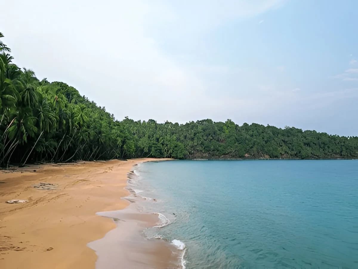 Turtle Sanctuary Beach