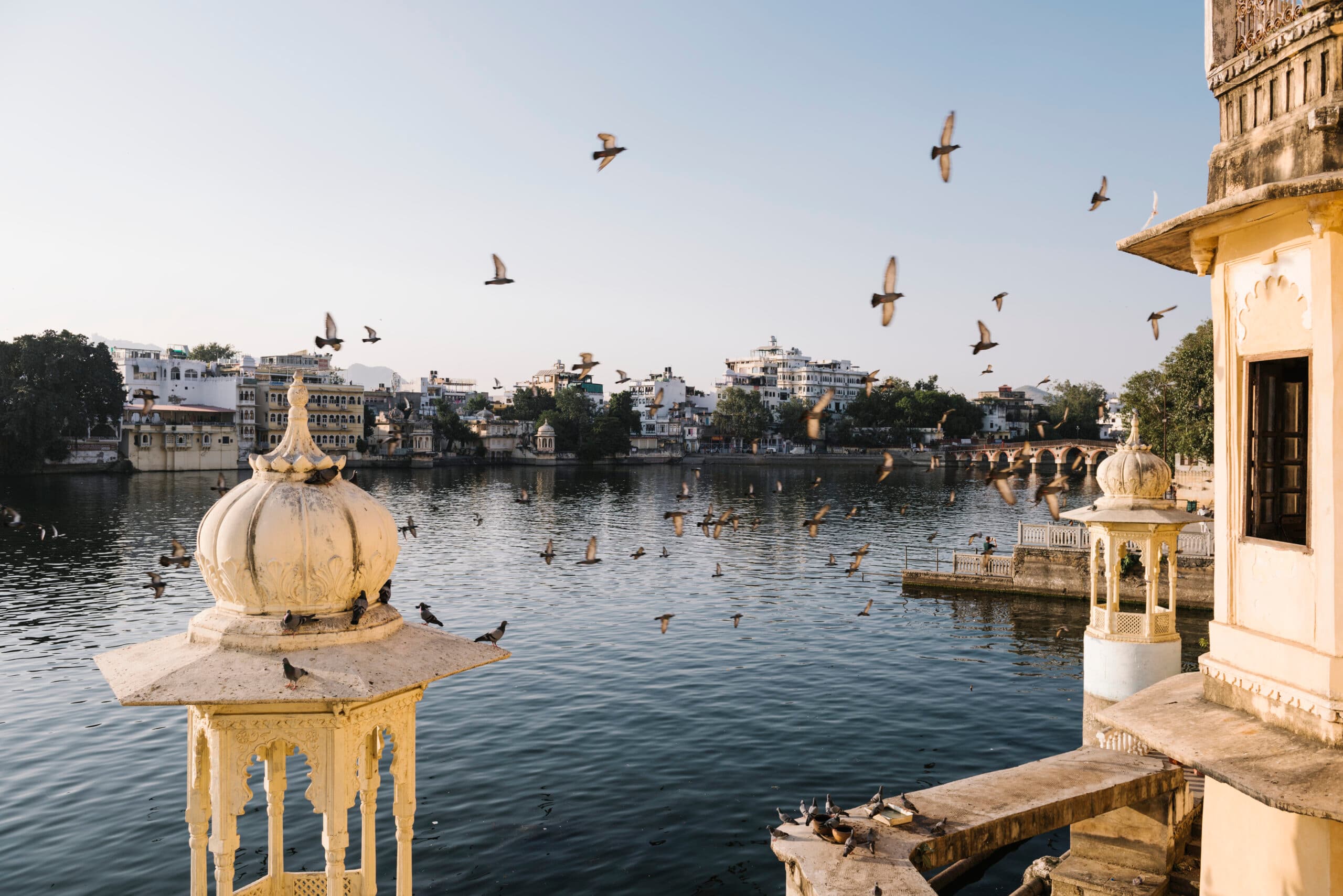 Locating the Best Lakes of Rajasthan: Boating, Wildlife & Palaces