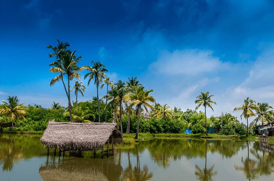 Kochi