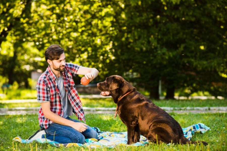 The Perfect Getaway with Your Furry Friend: Pet-Friendly Hotels in Mussoorie