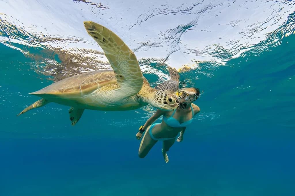 Snorkeling at Malaysia