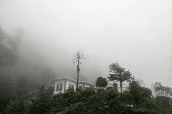Honeymoon Packages from Darjeeling: A Romantic Escape with Viacation
