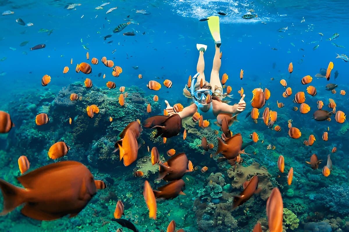 Snorkeling in Vietnam
