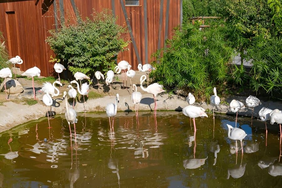 Baku Zoological Park