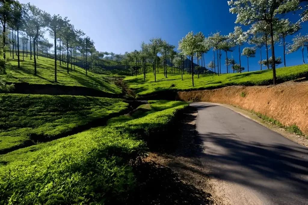 Best Things to Do in Kerala in September