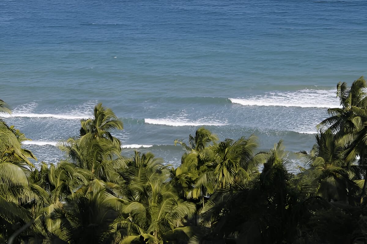 Mount Harriet National Park