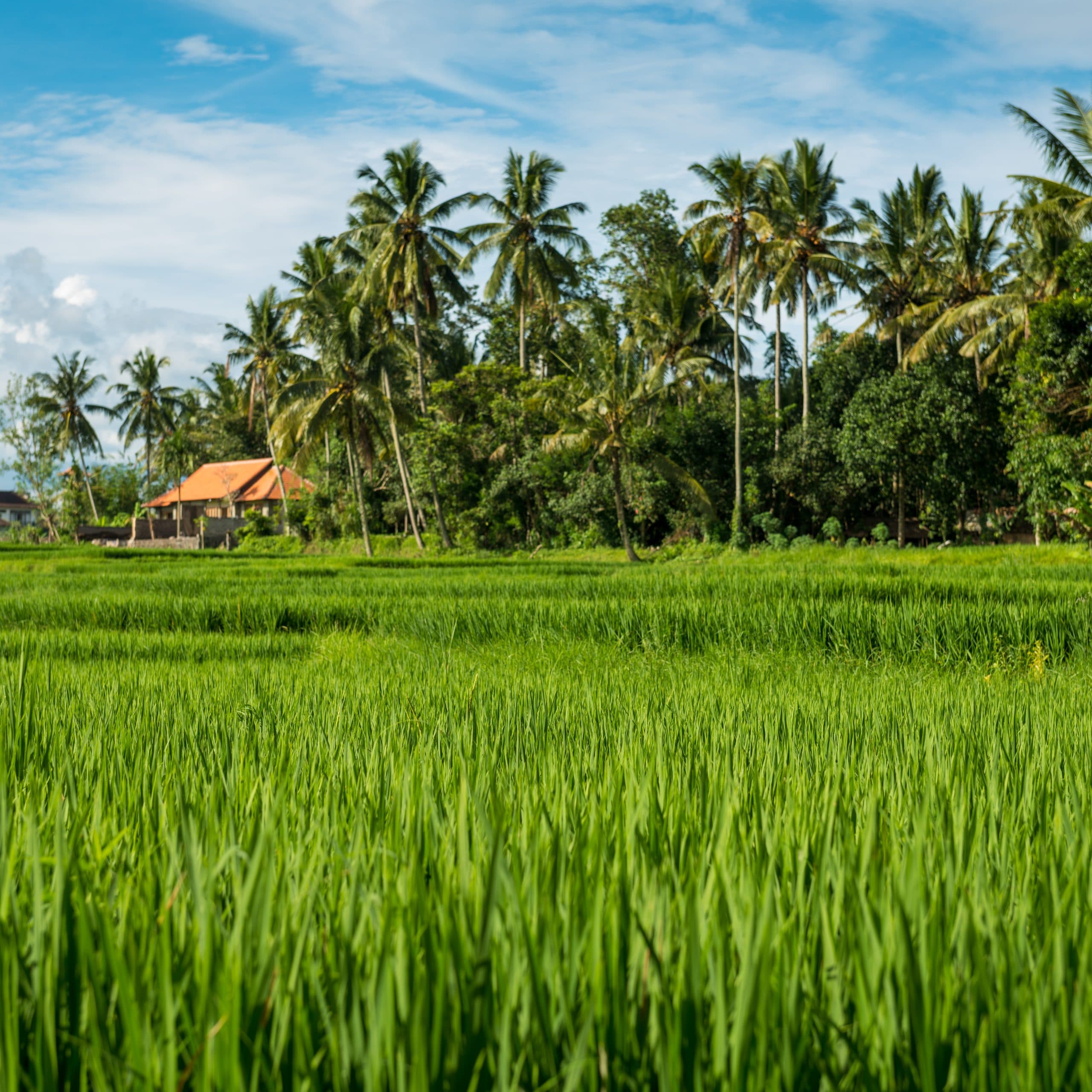 5 Best Honeymoon Packages from Delhi for Every Honeymooning Couple