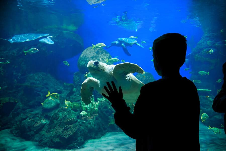 Marine Museum Lakshadweep