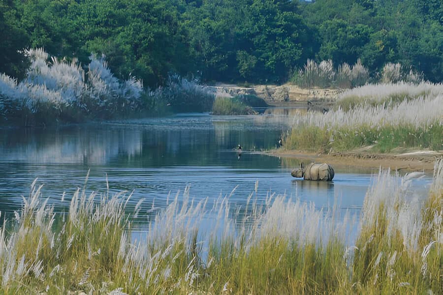 Bardia National Park