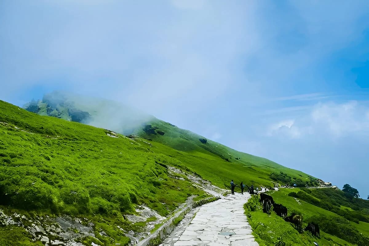 Chopta in April