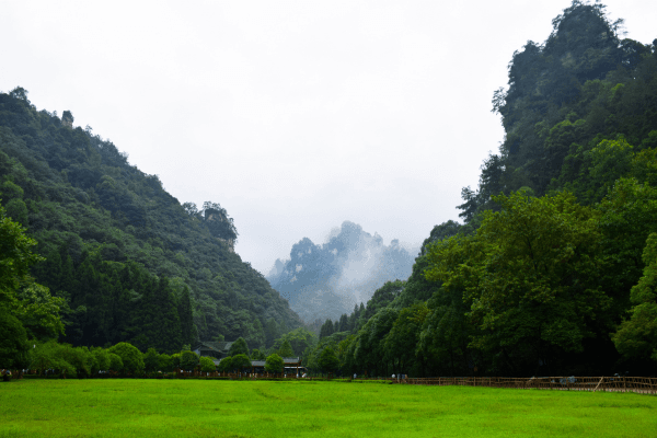 3-Day Ooty Family Tour Packages: Explore the Best of Ooty
