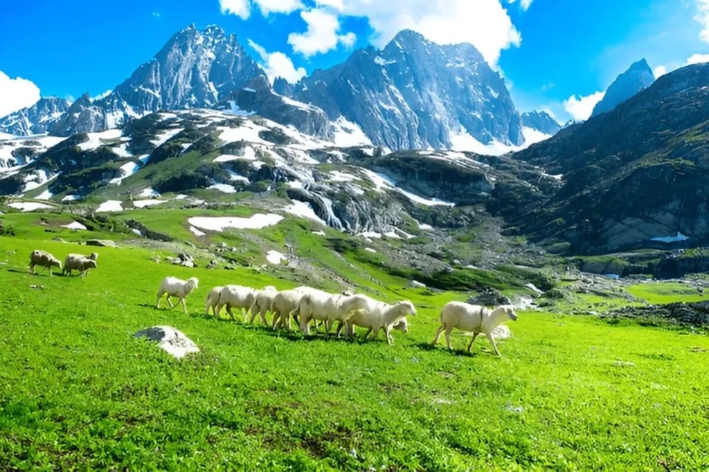 kashmir in august