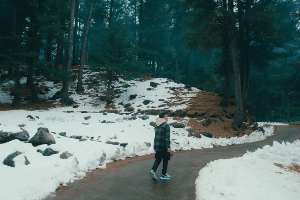 Why You Should Explore Kashmir, known as The Paradise on Earth