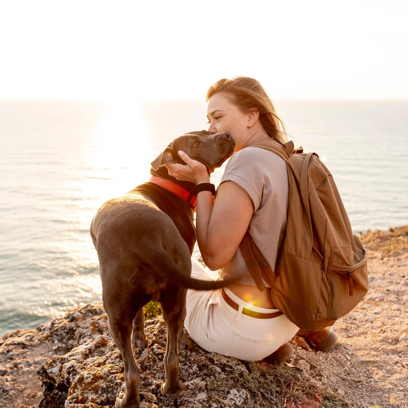 Pet-Friendly Hotels in Ooty