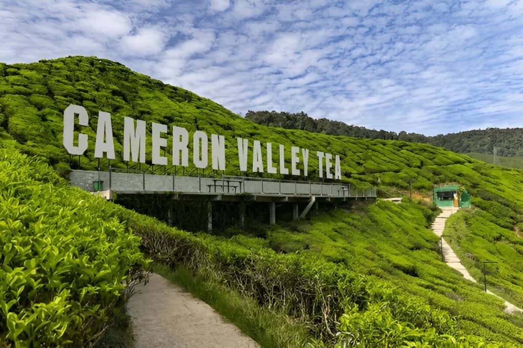 Cameron Valley