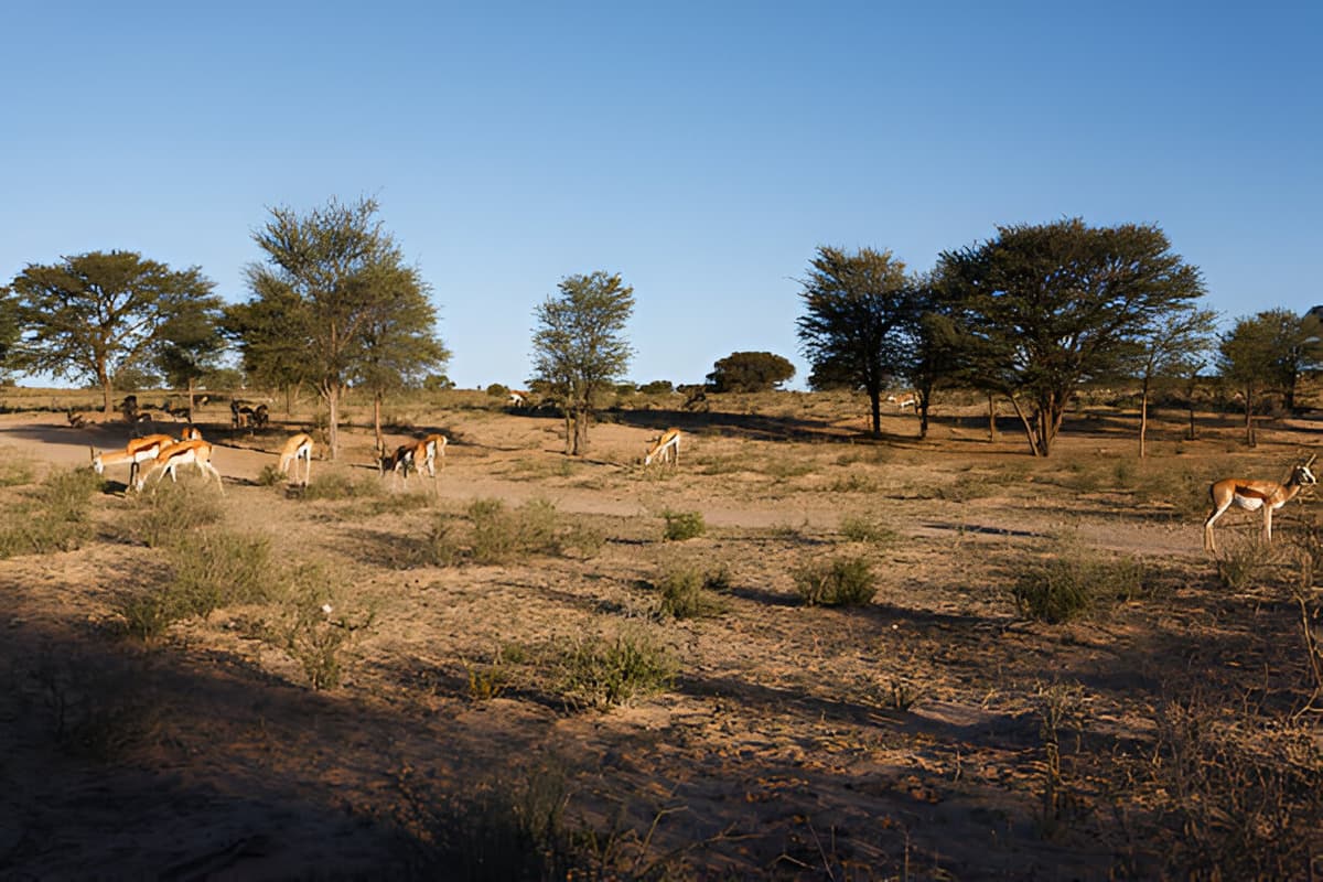 Kanchula Korak Musk Deer Sanctuary