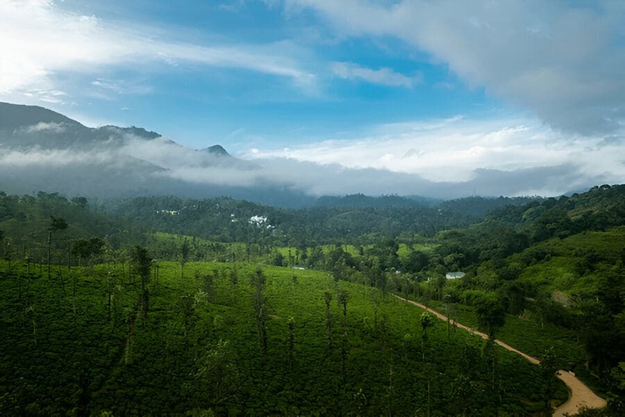 Top 6 Destinations in Wayanad tour package for family: A Trip with Family That You Will Never Forget