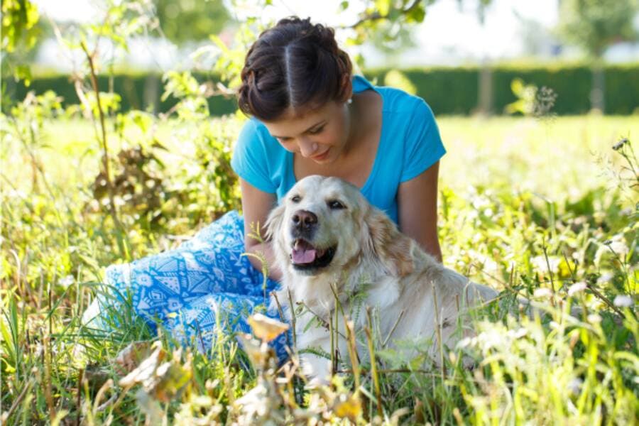Hotels That Will Welcome Especially You and Your Pet in Bangalore