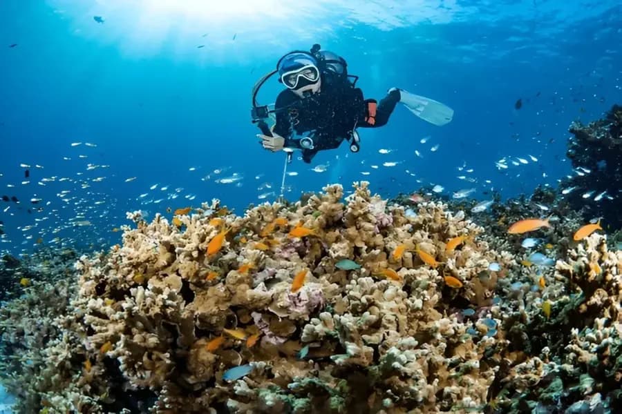 Andaman and Nicobar Islands in August