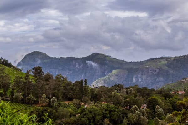 Find the Best Wayanad Tour Package Suitable for Families