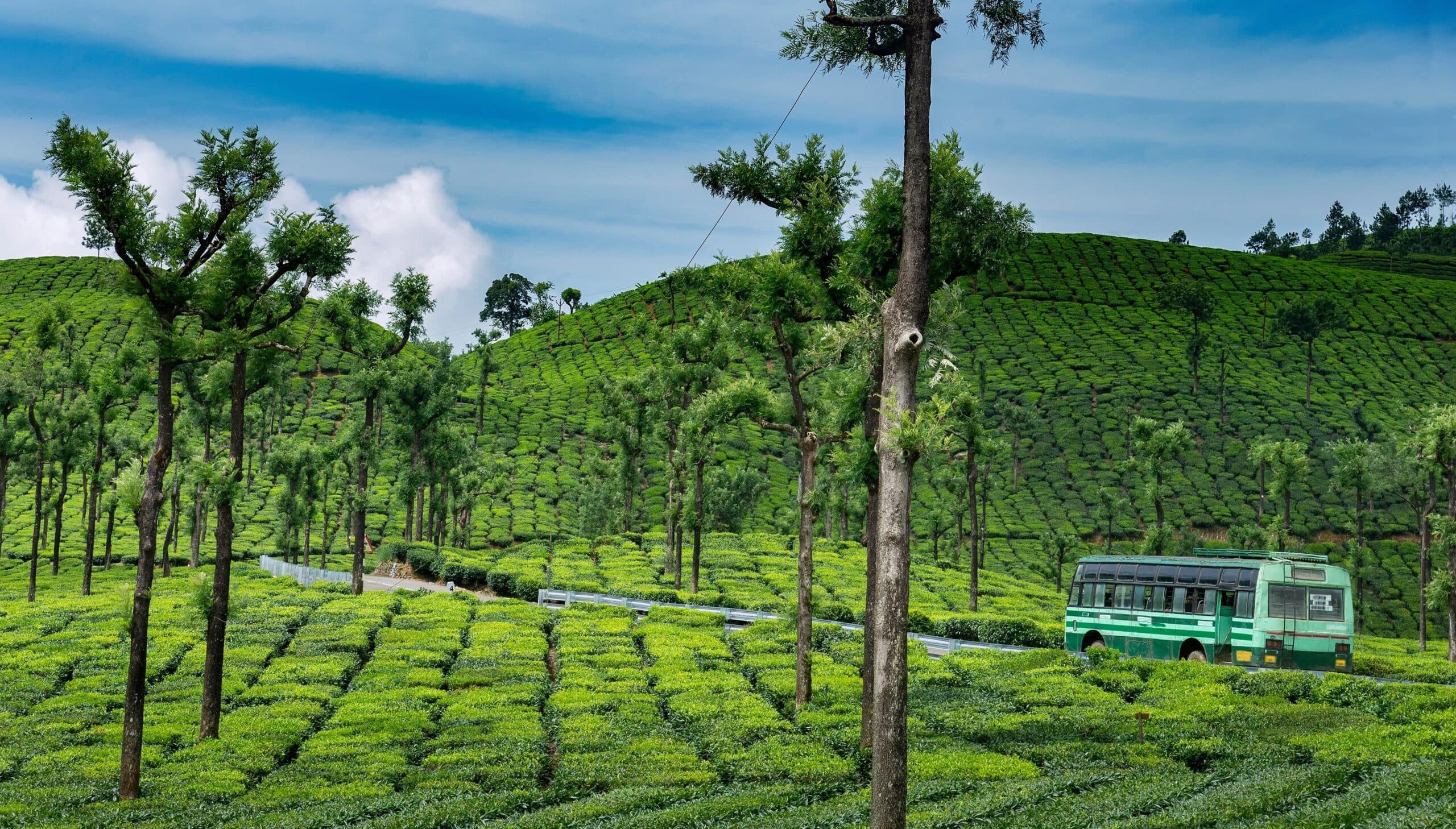 Konkan Packages for Family: Back to Nature, Experience Cultures and Get the Adventure!