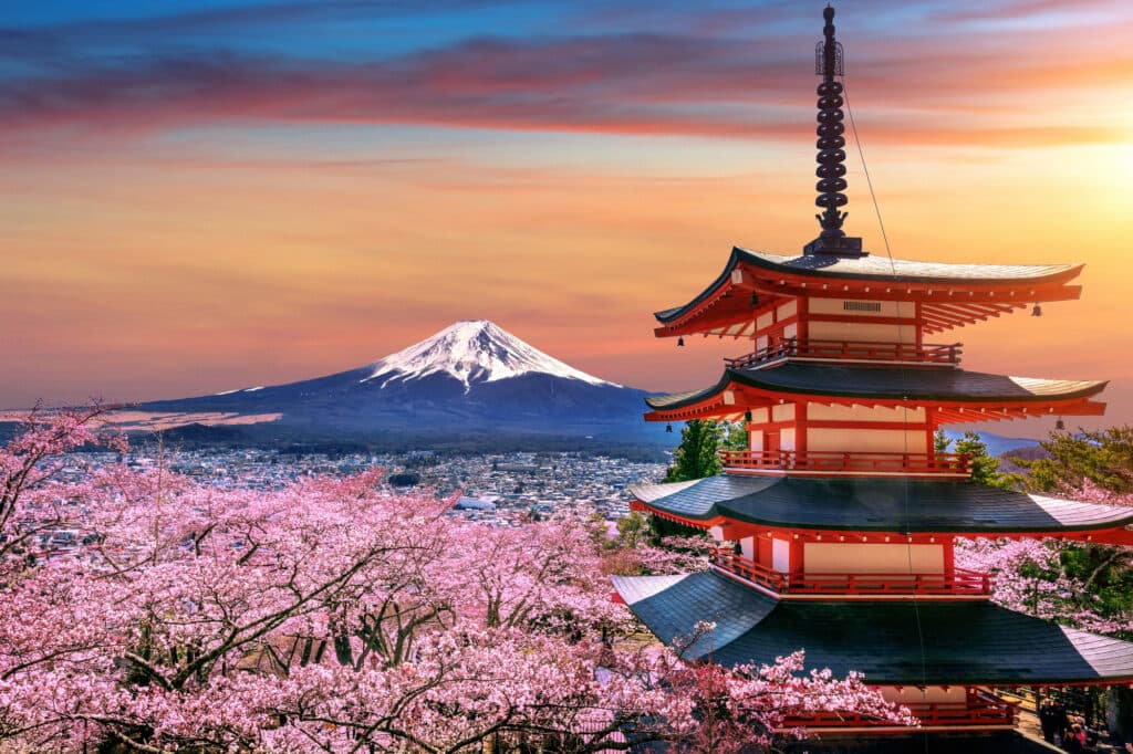 Top Holiday Packages: National & International Holiday Destinations