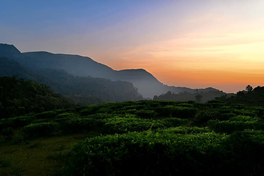 Thekkady